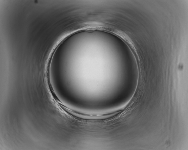 X0000097991488200803241330