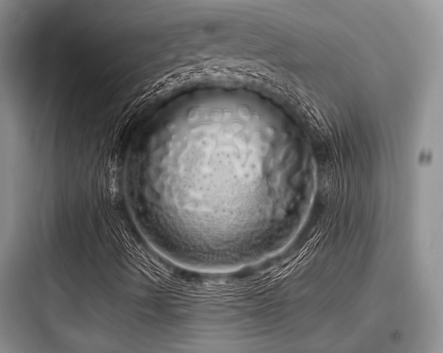 X0000097991490200803241329