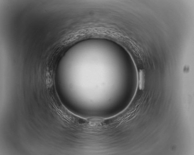 X0000097991491200803241329