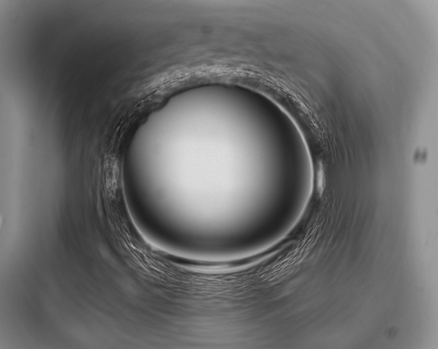 X0000097991492200803241329