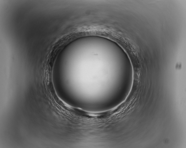 X0000097991493200803241329