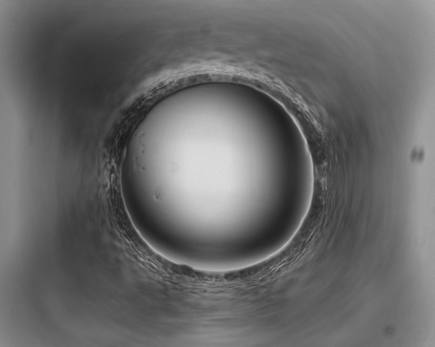 X0000097991495200803241329