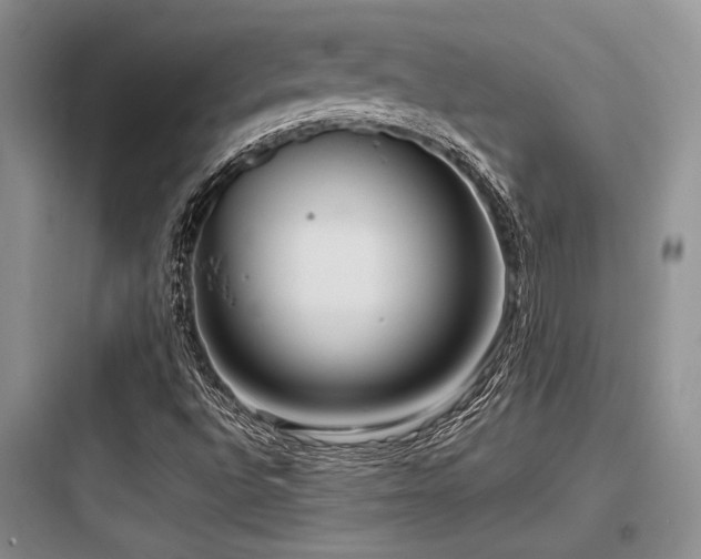 X0000097991496200803241329