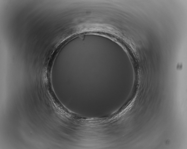 X0000097991497200803241329