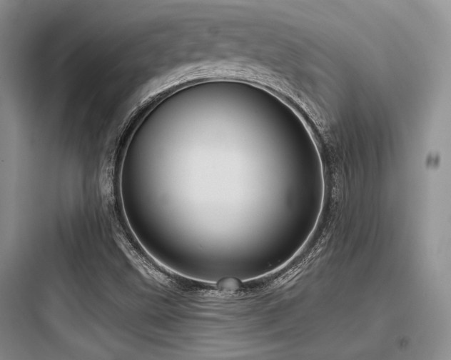 X0000097991499200803241329