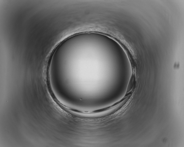 X0000097991500200803241329