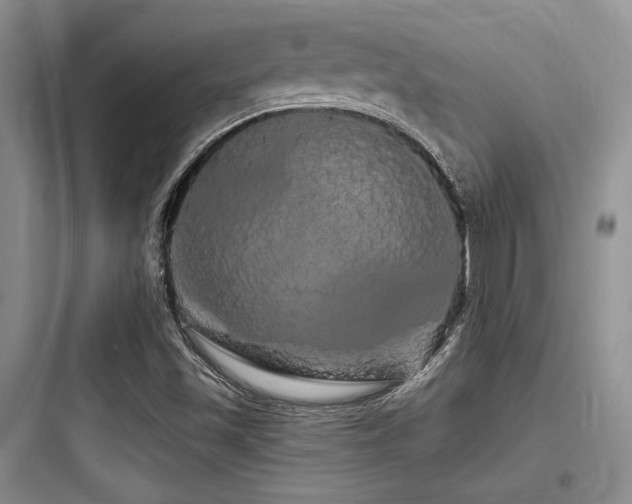 X0000097991501200803241329