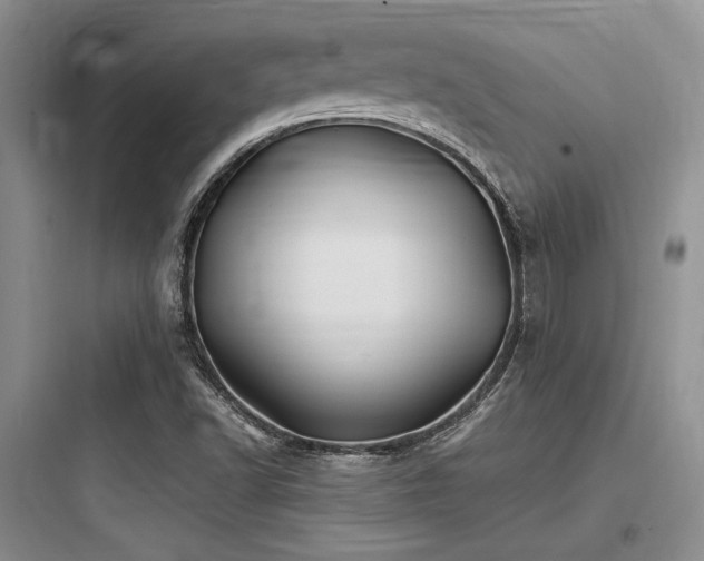 X0000097991502200803241329
