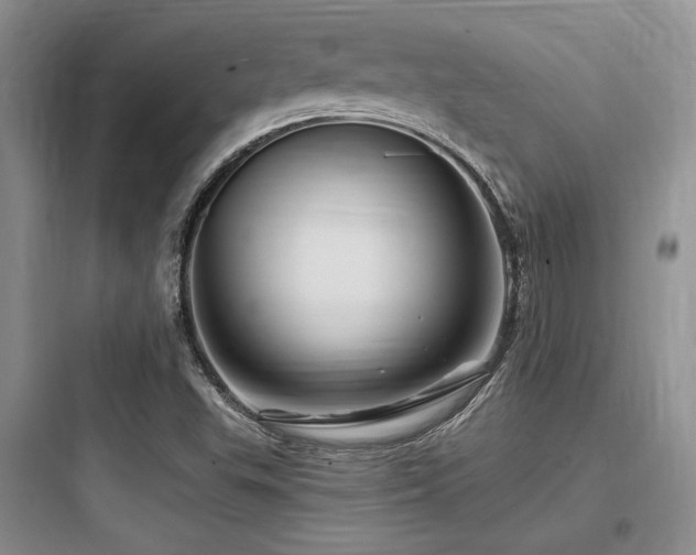 X0000097991503200803241329