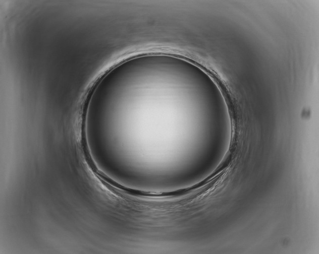 X0000097991504200803241329