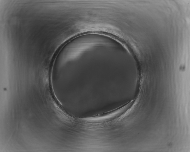 X0000097991505200803241329