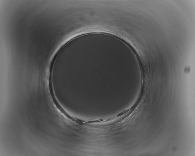 X0000097991508200803241329
