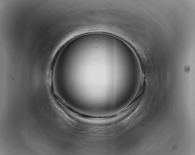 X0000097991510200803241329