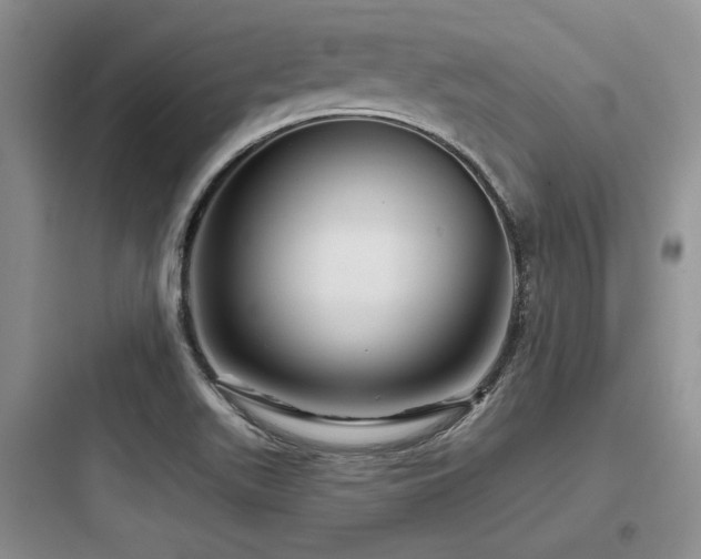 X0000097991511200803241329