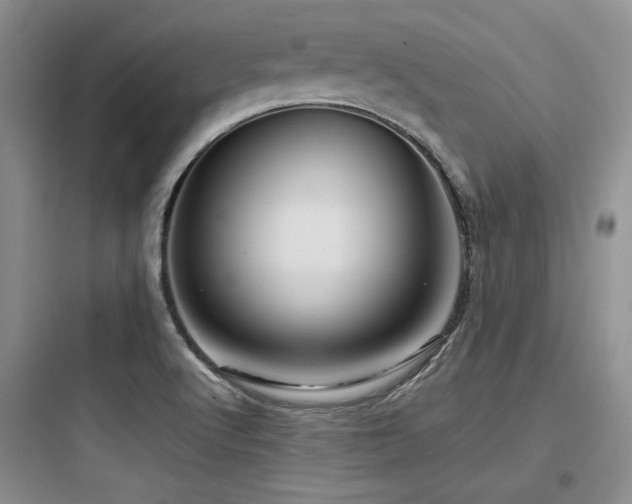 X0000097991512200803241330