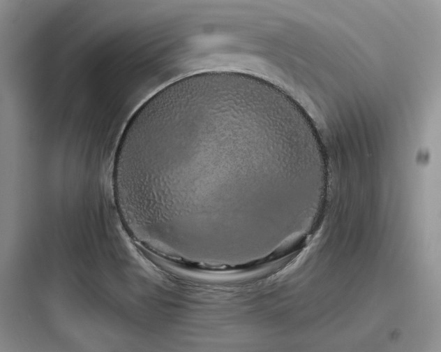 X0000097991513200803241330
