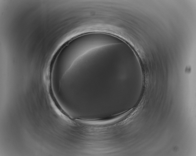 X0000097991515200803241330