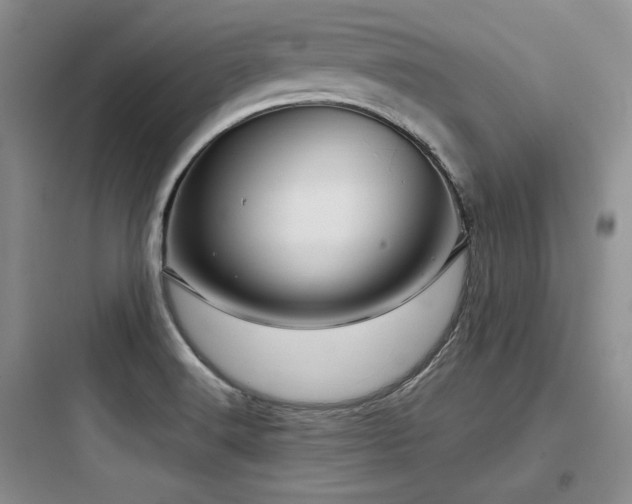 X0000097991516200803241330