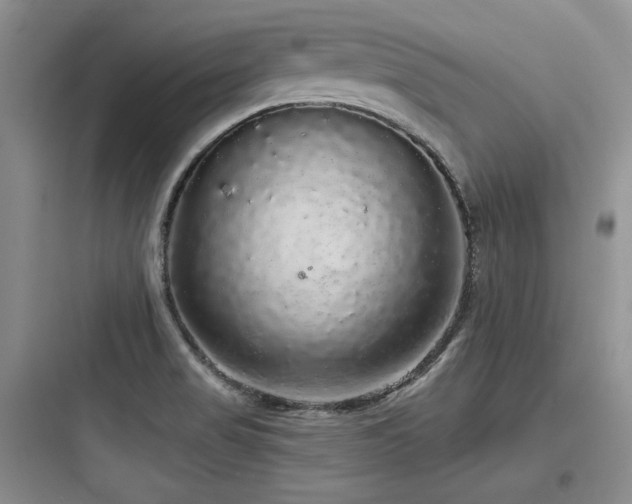 X0000097991517200803241330