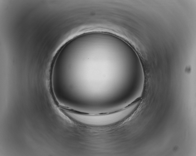 X0000097991518200803241330