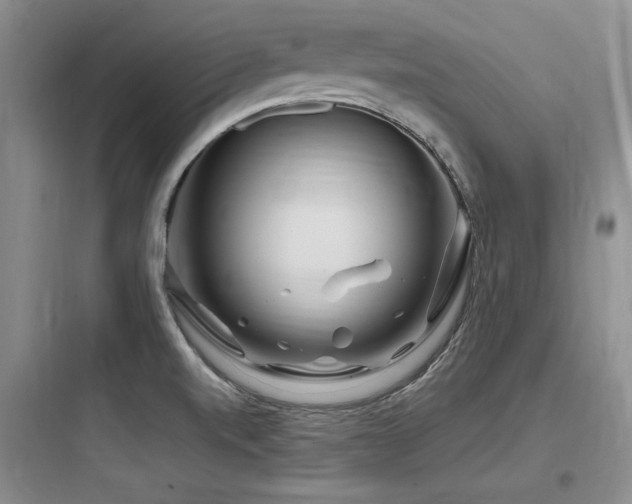 X0000097991520200803241330