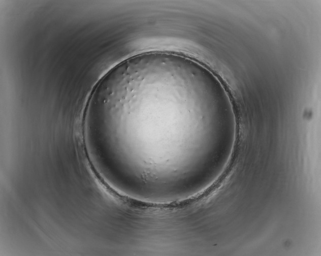 X0000097991521200803241330