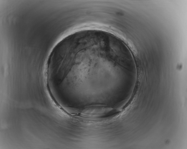 X0000097991522200803241330