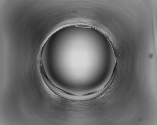X0000097991524200803241330