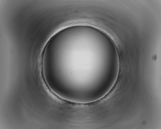 X0000097991526200803241330