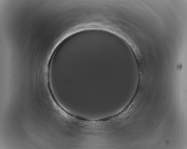 X0000097991527200803241330
