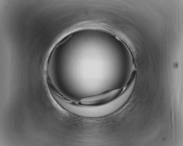 X0000097991528200803241330
