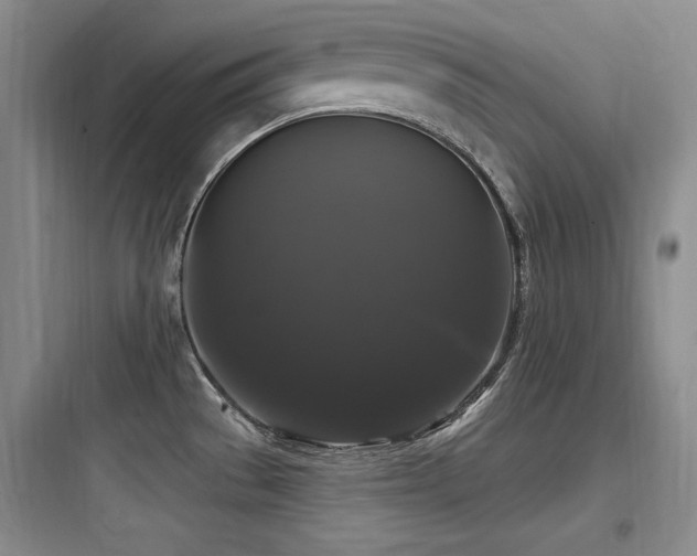 X0000097991529200803241330