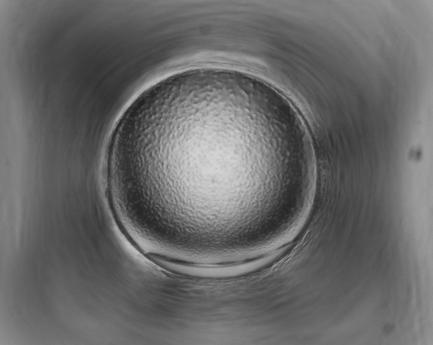 X0000097991531200803241330