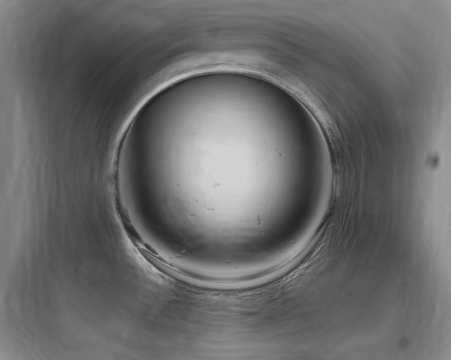 X0000097991532200803241330