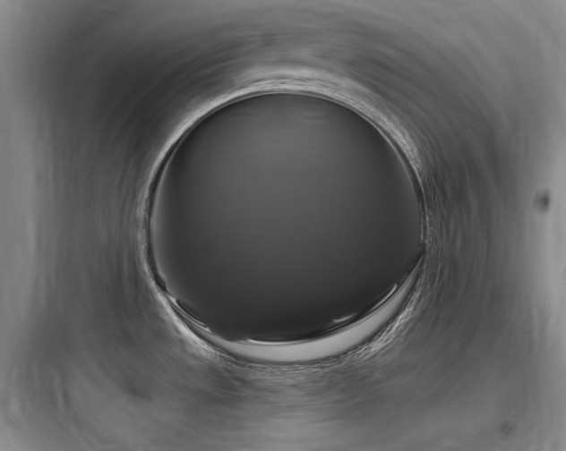 X0000097991533200803241330
