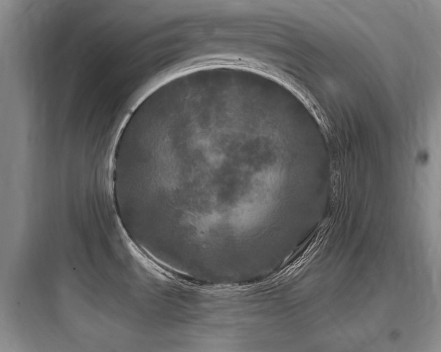 X0000097991535200803241330