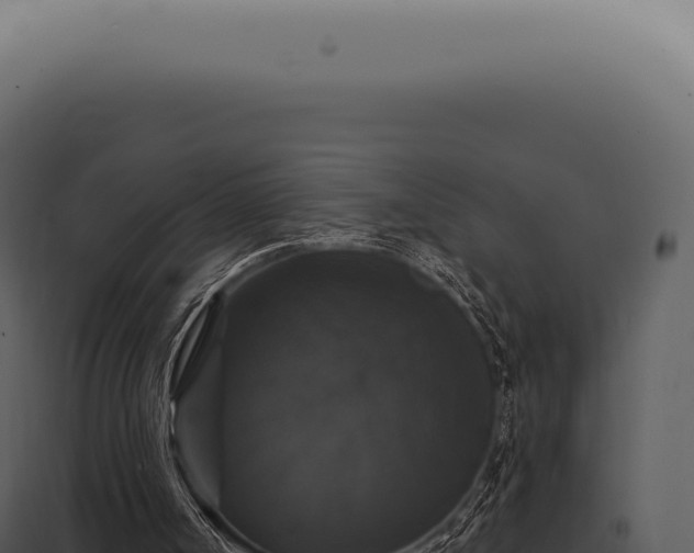 X0000097990002200804011820
