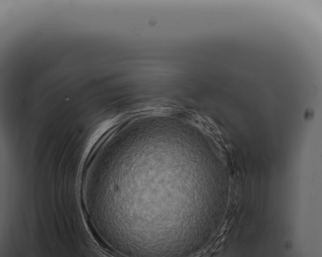 X0000097990003200804011819
