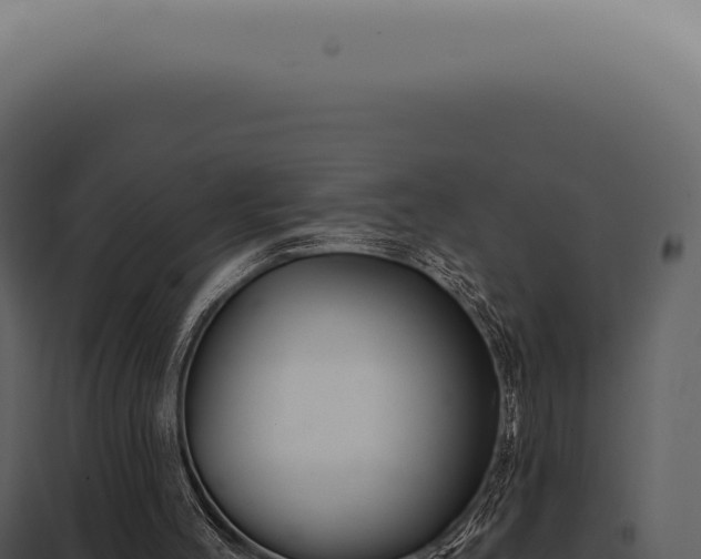 X0000097990004200804011819