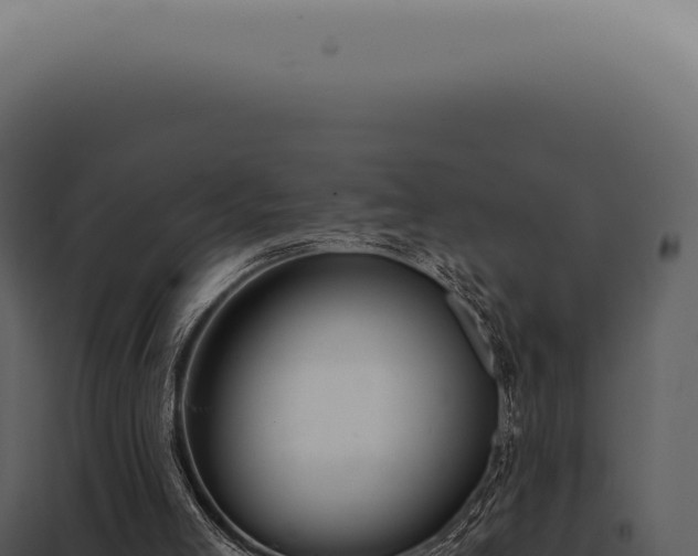 X0000097990005200804011819