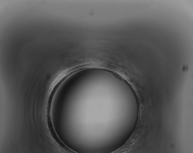X0000097990007200804011819