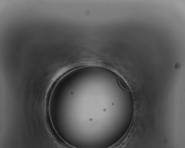 X0000097990008200804011819
