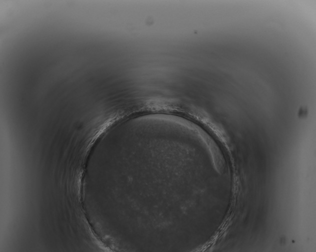 X0000097990009200804011819