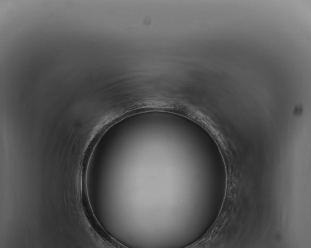 X0000097990011200804011819