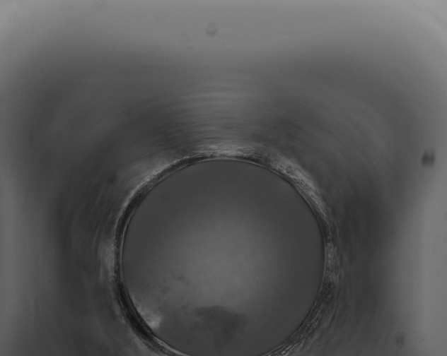 X0000097990012200804011819