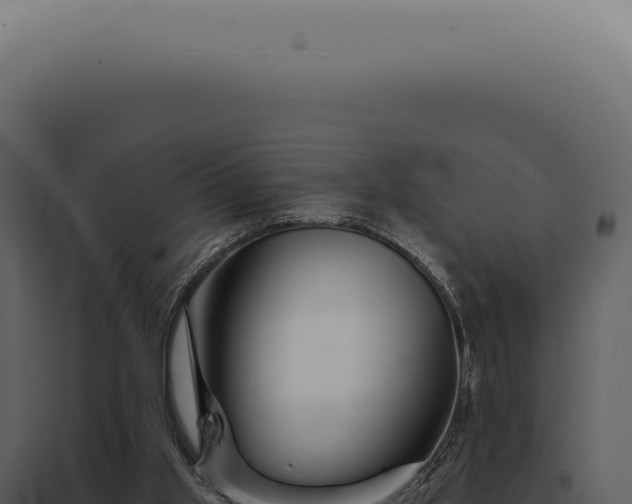 X0000097990013200804011819