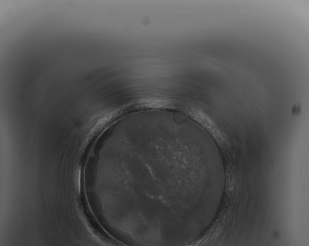 X0000097990014200804011819
