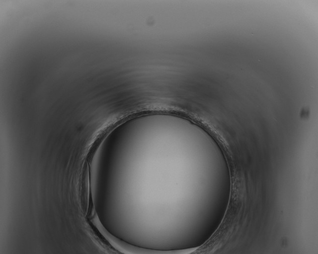 X0000097990015200804011819