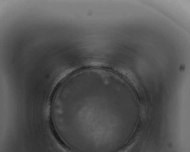 X0000097990016200804011819