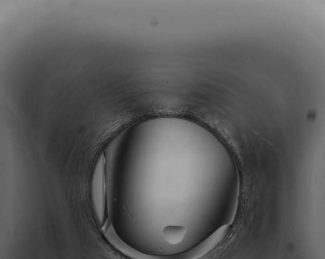 X0000097990017200804011819